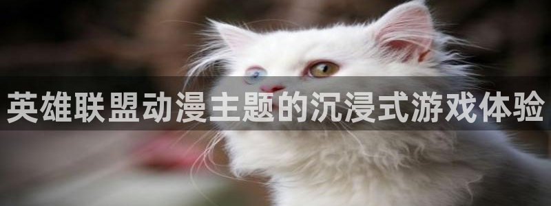 精品91动漫：英雄联盟动漫主题的沉浸式游戏体验