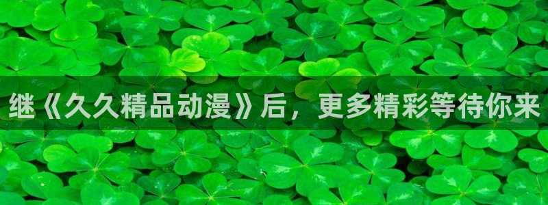 91动漫一区：继《久久精品动漫》后，更多精彩等待你来