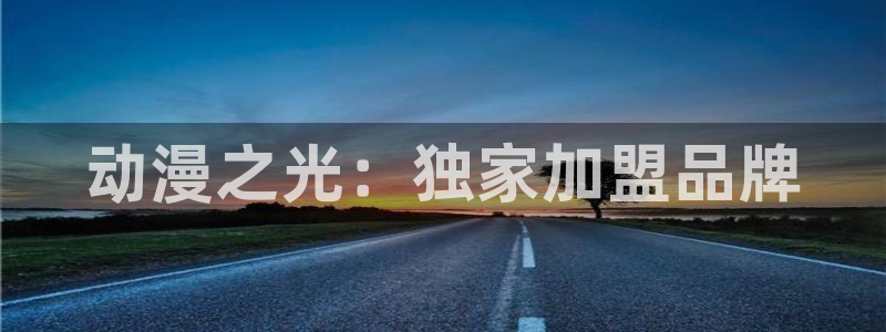 91动漫头像：动漫之光：独家加盟品牌