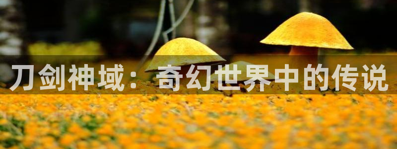 91动漫免费版怎样下载：刀剑神域：奇幻世界中的传说