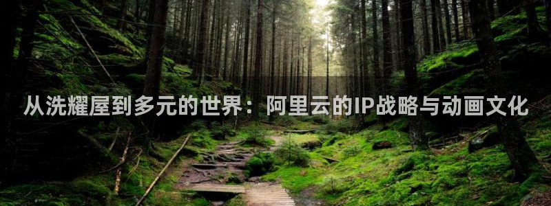 91动漫拔萝卜：从洗耀屋到多元的世界：阿里云的IP战略与动画文化